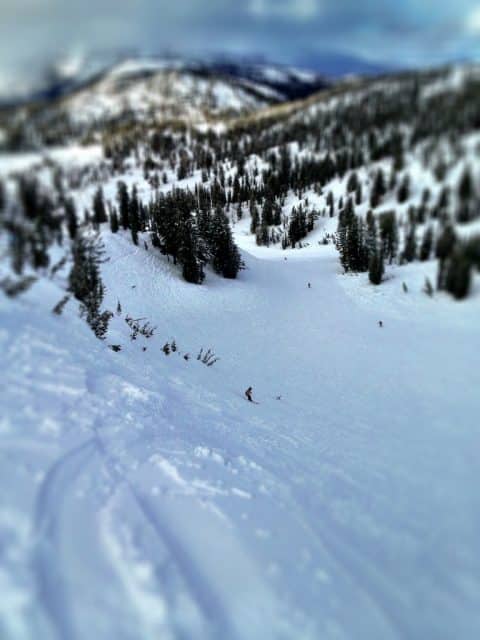 Mammoth Mountain skiing photo