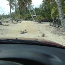 Road Hazards in the Bahamas