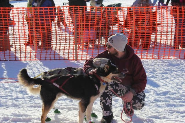 Musher Handler with Lead Dogs