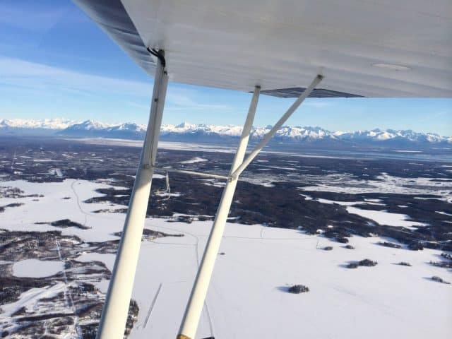 White Mountains in the Background