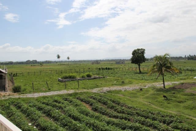 A portion of the Center's farm. It looks like a scene from Iowa!